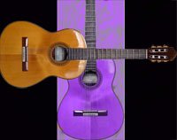 49043-gitara.jpg, 36 KB